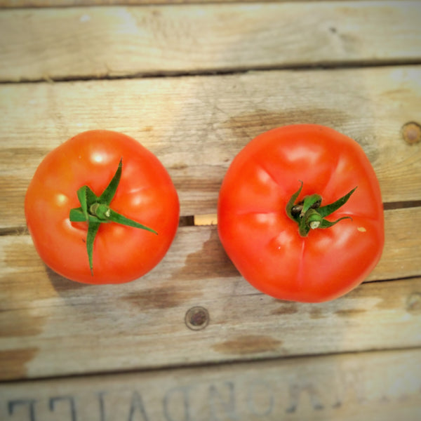 Tomates rouges  type cœur de bœuf