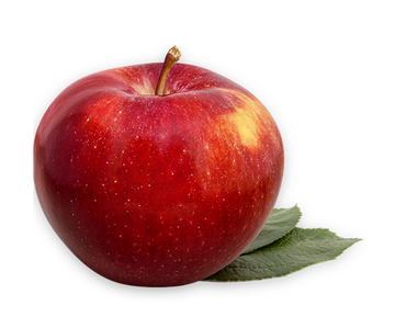 Pomme SPARTAN biologique