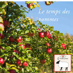 23 SEPTEMBRE. Auto-cueillette pommes bio (Québec Vrai)